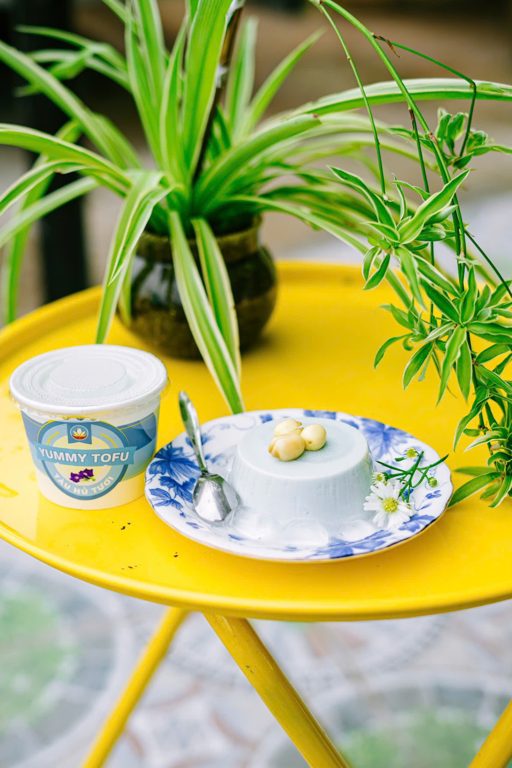 Tàu hũ tươi Yummy sỉ lẻ tại quận 2