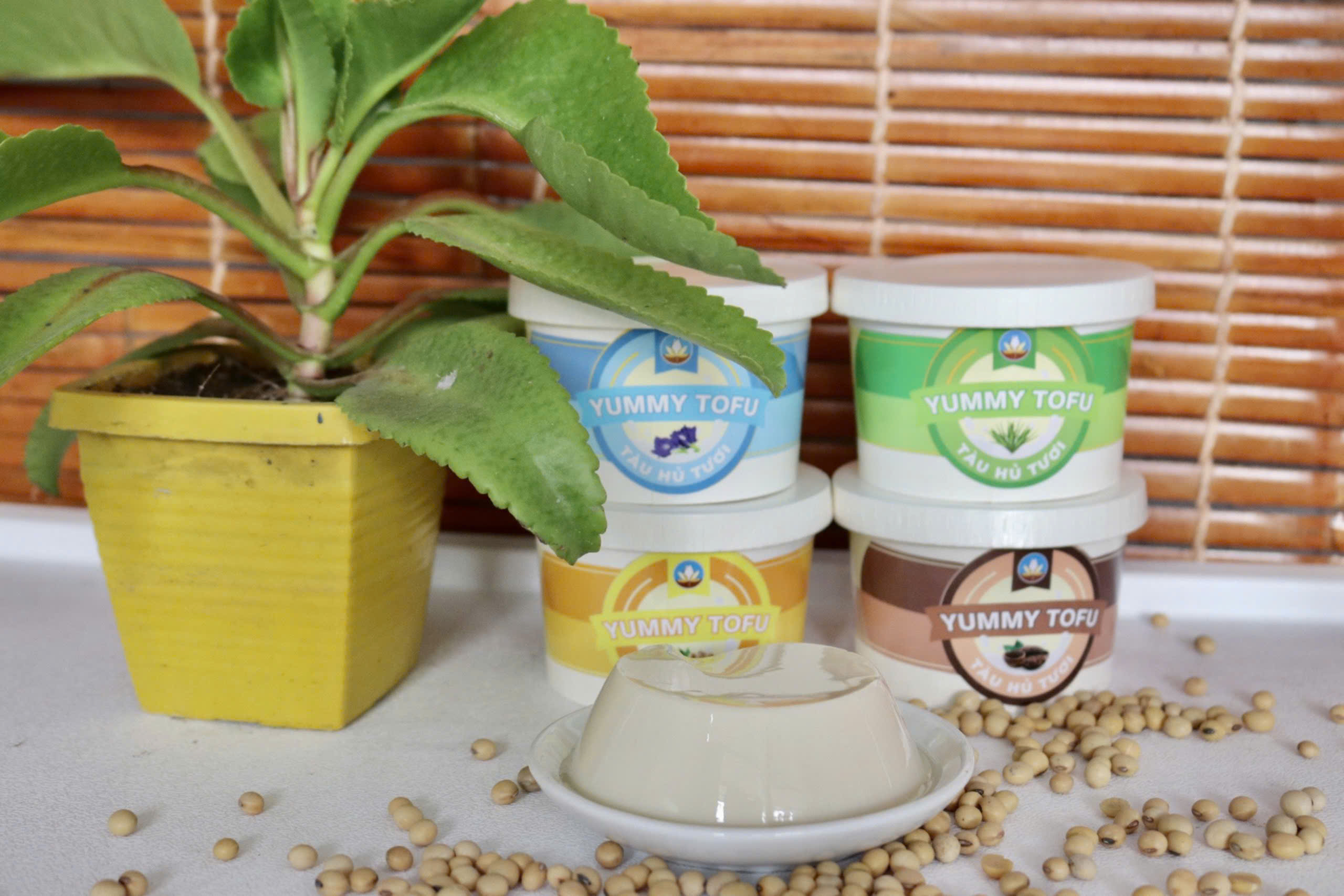 Tàu hũ tươi Yummy sỉ lẻ tại quận 8