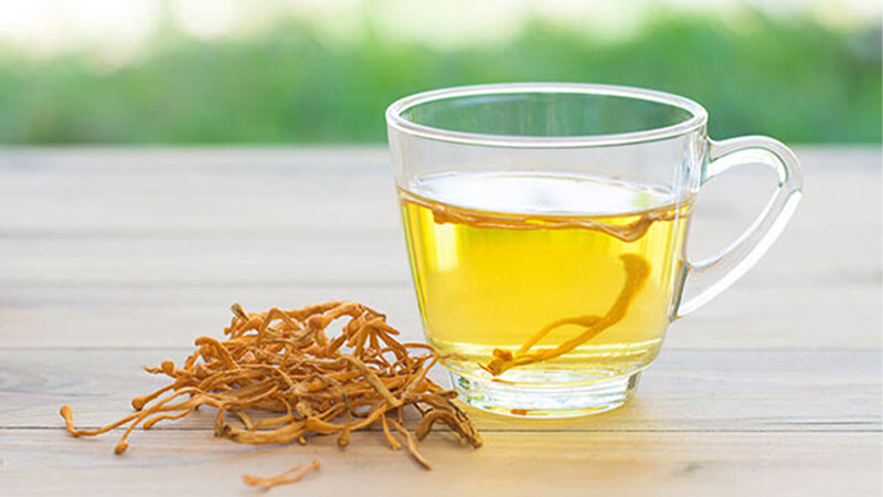 Cách sử dụng Đông trùng hạ thảo